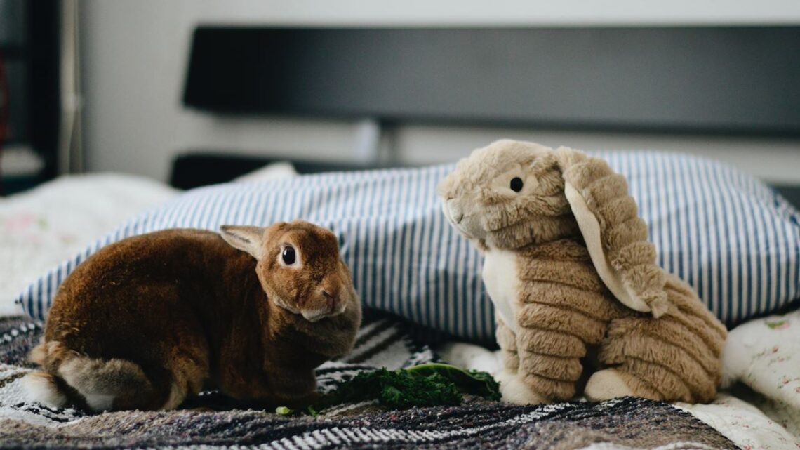 Czy królik może jeść szpinak?