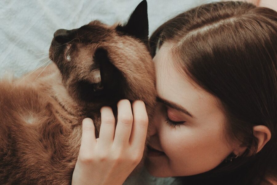 koty będą żyły do 30-tki