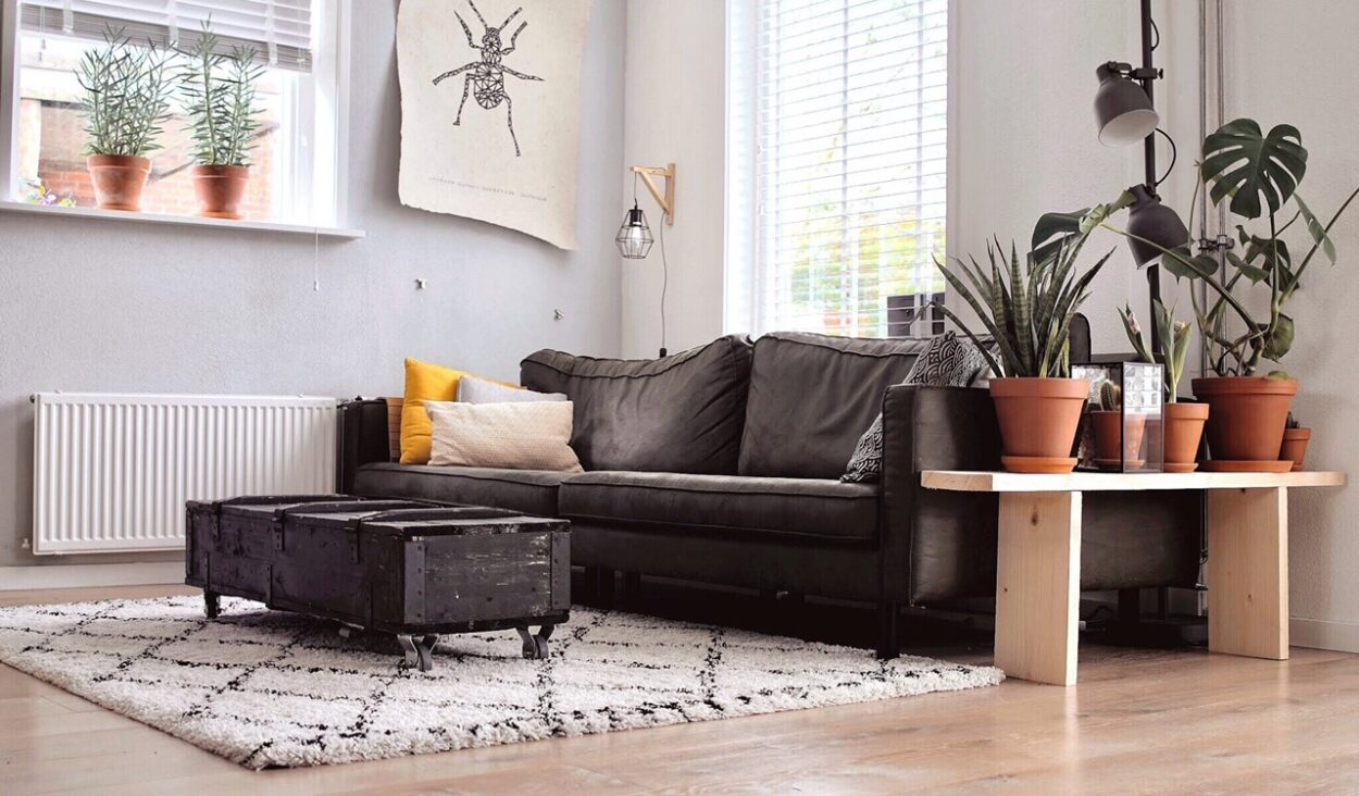 jak wyprostować podwijający się dywan