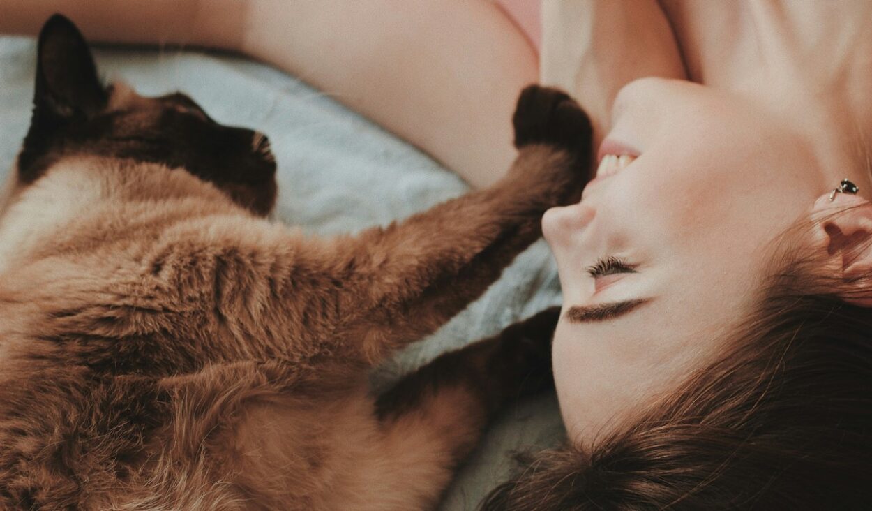 jak rozpoznać, że kot Cię kocha