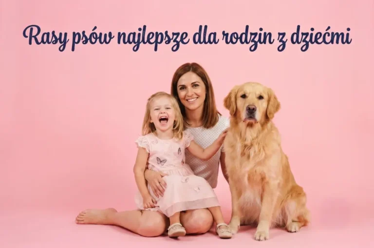 piesek dla rodziny z dziećmi