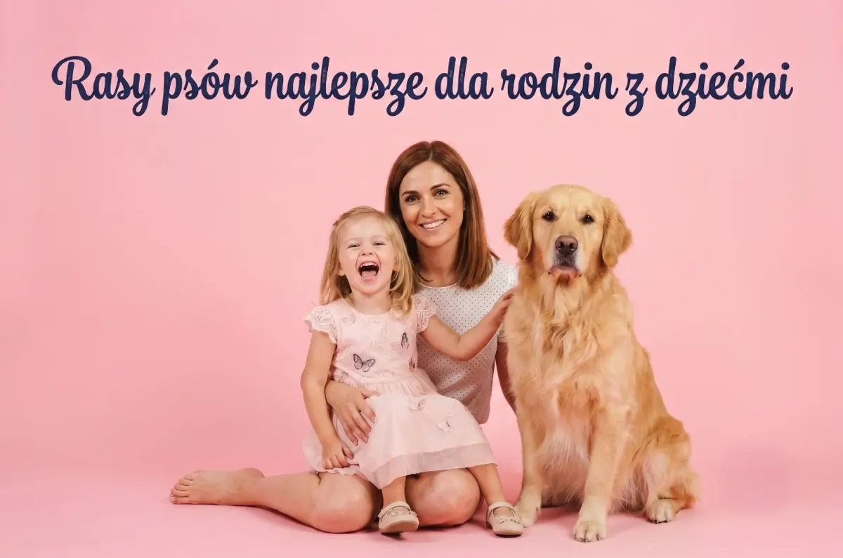 piesek dla rodziny z dziećmi